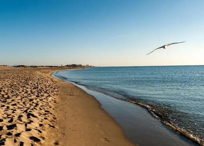 Apartment Copacabana-2 By Interhome Canet-en-Roussillon